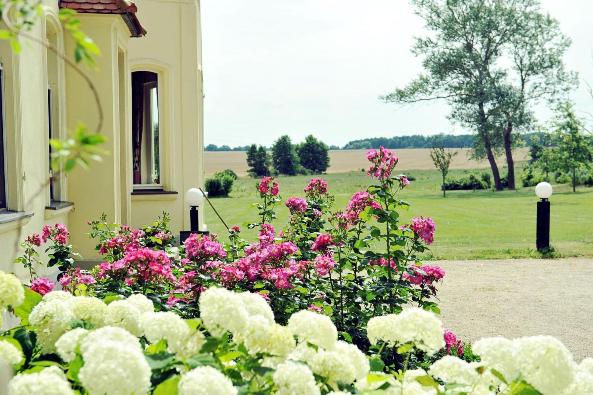 Gutshaus Penzlin Villa Meyenburg  ภายนอก รูปภาพ